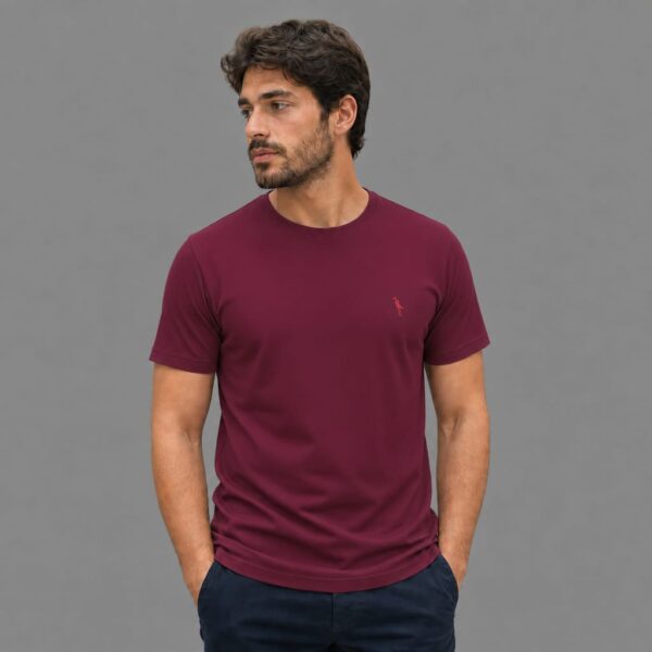 Camiseta Arandon